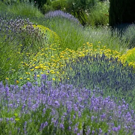 Tatil Evi Hilltop Hideaway Near Beaulieu (Ardeche)